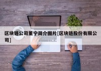 区块链公司董宁简介图片[区块链股份有限公司]