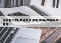 深圳有开发区块链的公司吗[深圳区块链系统开发]