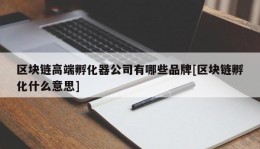 区块链高端孵化器公司有哪些品牌[区块链孵化什么意思]