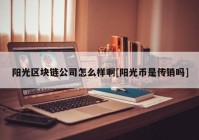 阳光区块链公司怎么样啊[阳光币是传销吗]